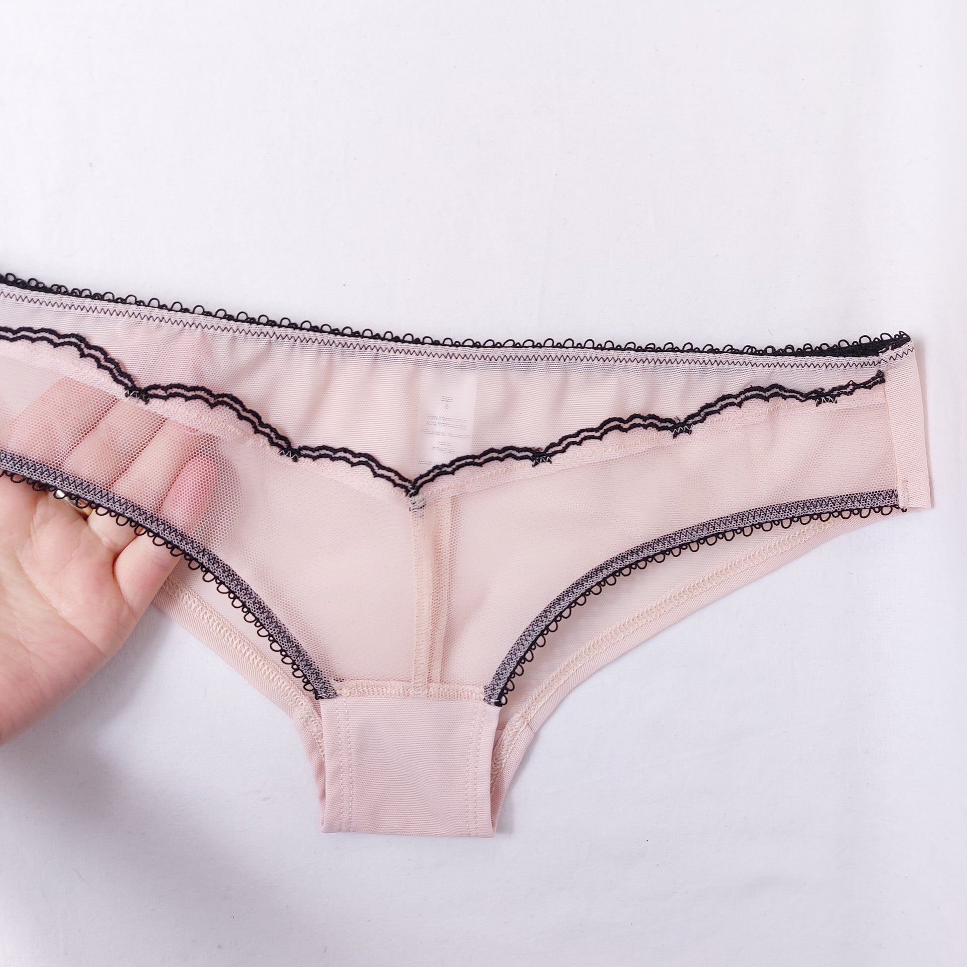 2-Pack Collection Powder Pink Line Brief Knickers Sheer Lace – Worsley_wear