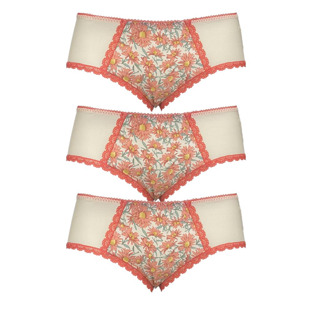Ex Chainstore 5 Pairs Floral Brief Knickers Mesh Cotton Gusset Silky Fabric
